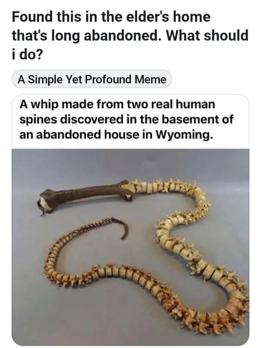 Skeletons posting tweet media