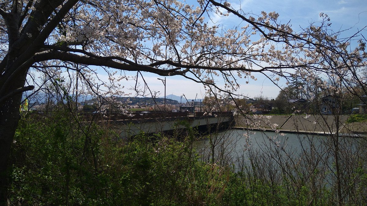 焔 さくら tweet media