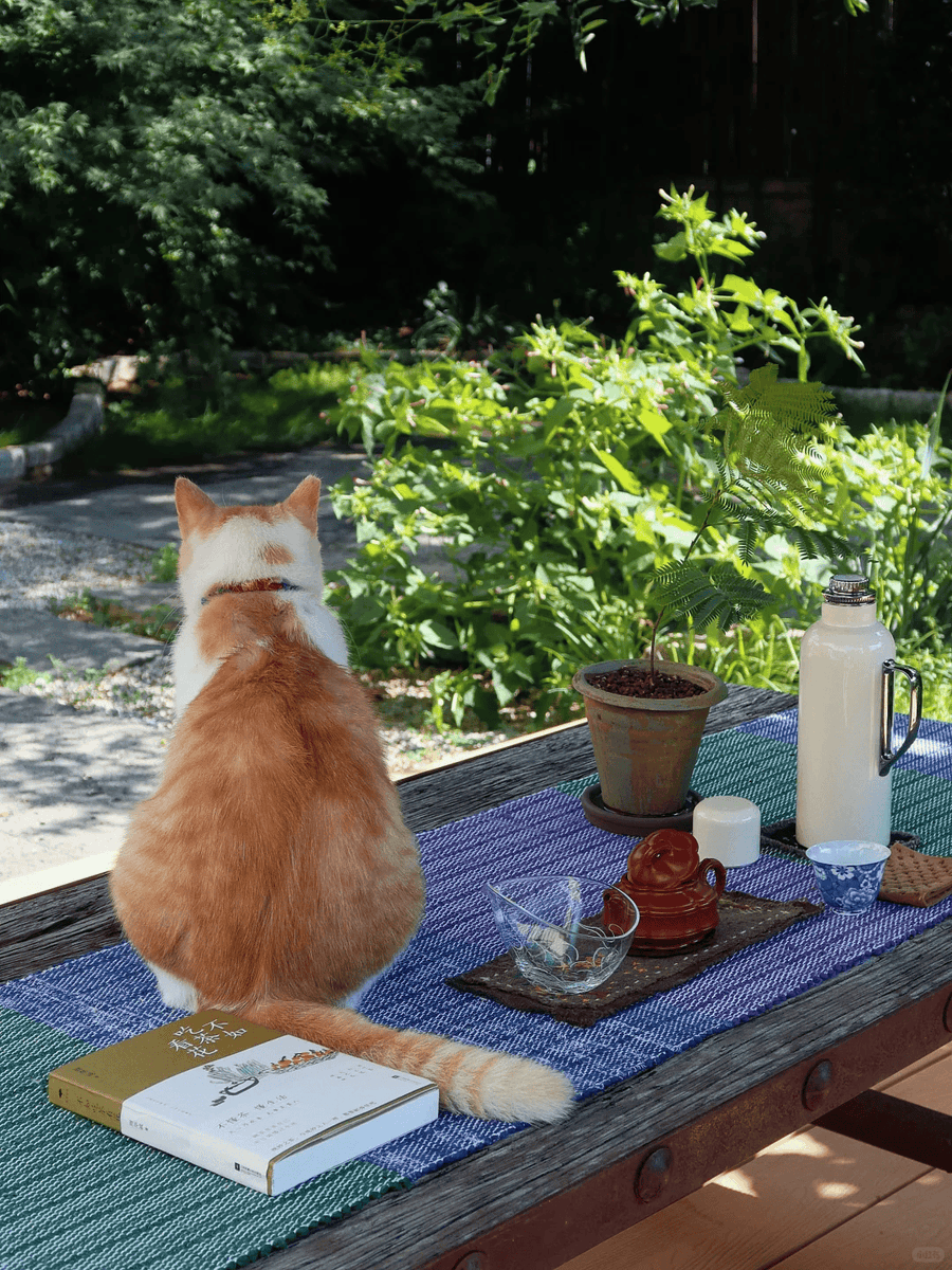 Sama Waters tweet media