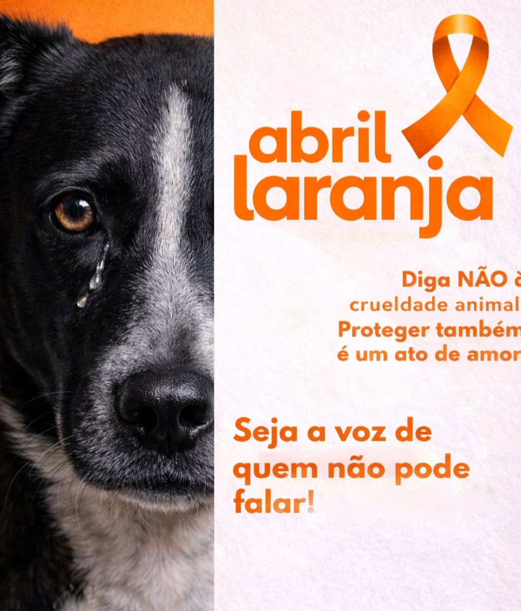 Denuncia 190
Lei Sansão 
Lei orelha.
Ele sentem dor, sentem o abandono, mas tbm sentem o amor.