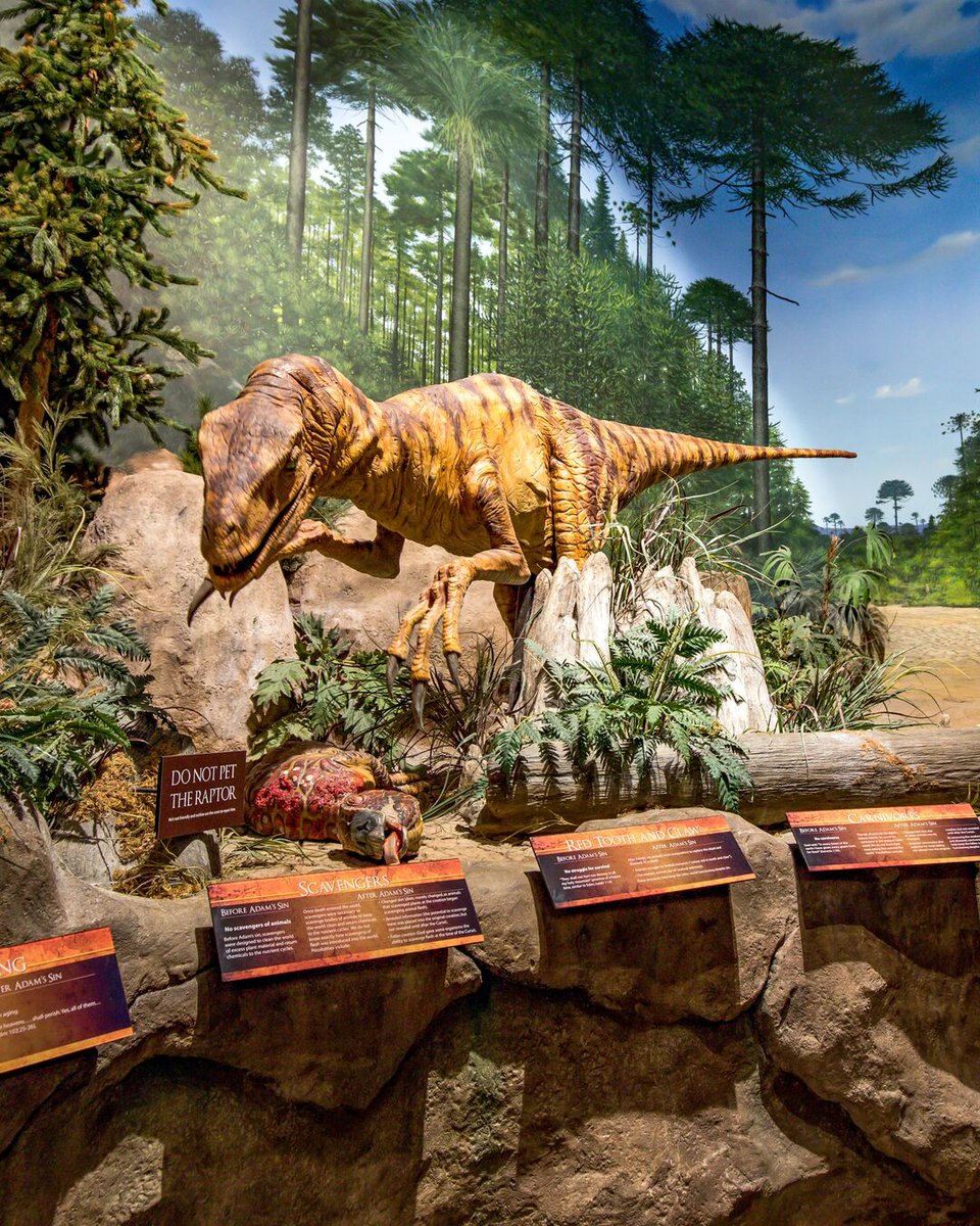 Creation Museum tweet media