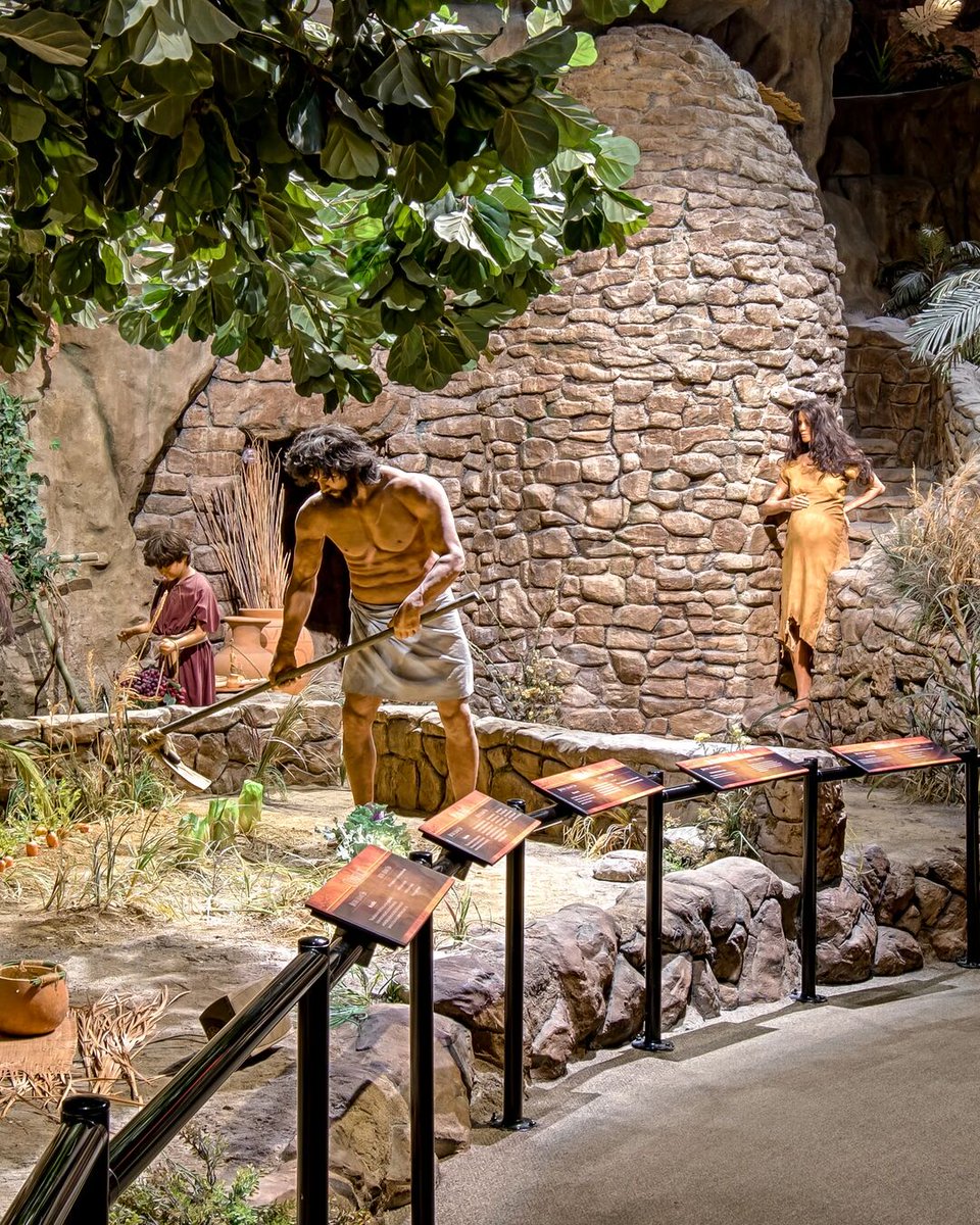 Creation Museum tweet media
