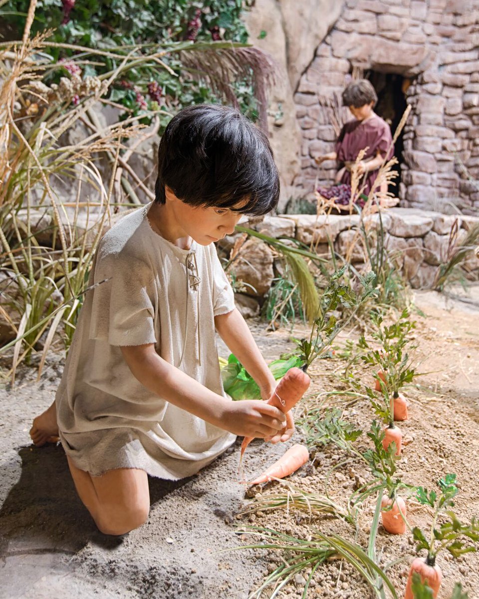 Creation Museum tweet media