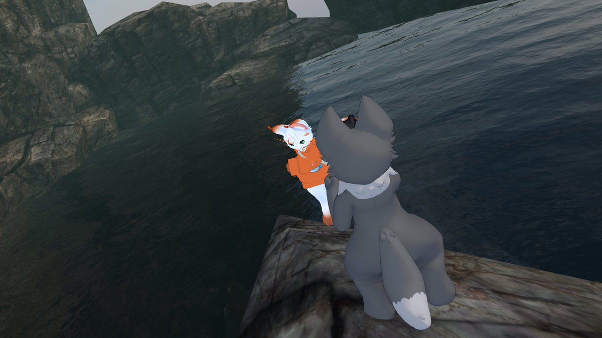 ぽかぽかぷにもち tweet media