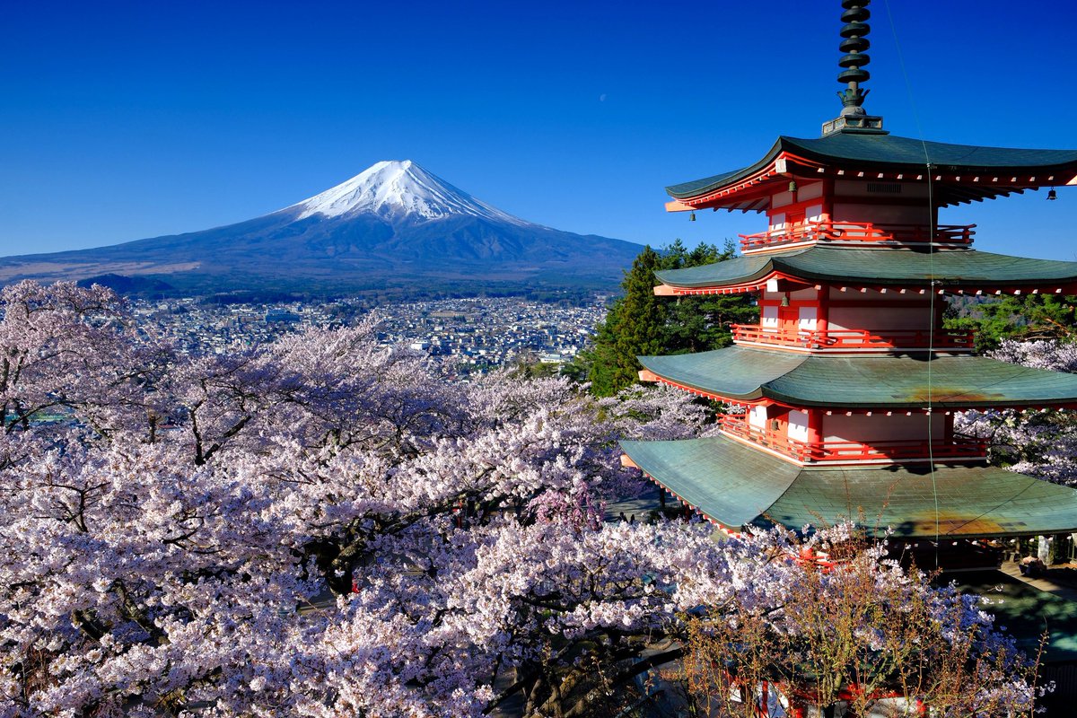 OKうえだ tweet media