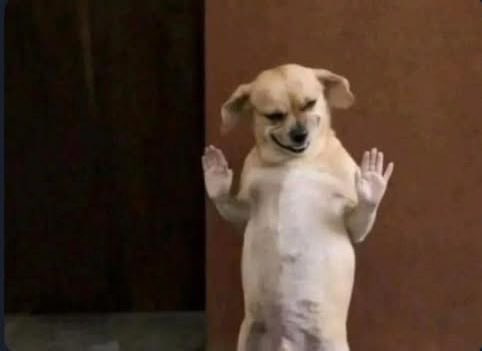 Caleb Eli ❣️ tweet media