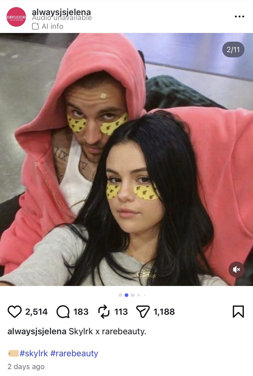 C.G || Daisies 🌼 tweet media