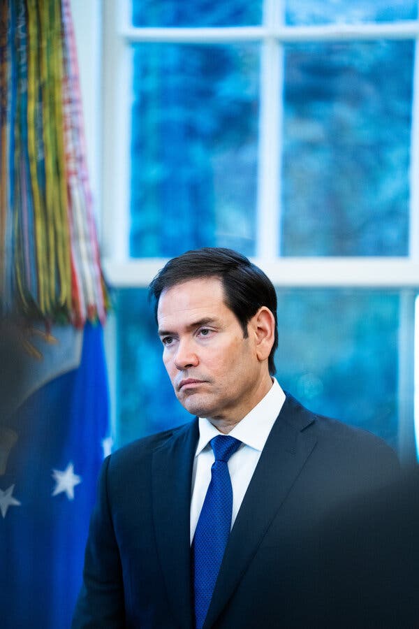 Teodhora tweet media