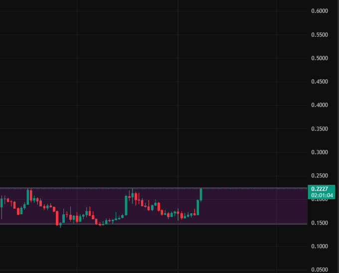Flying Dutchman tweet media