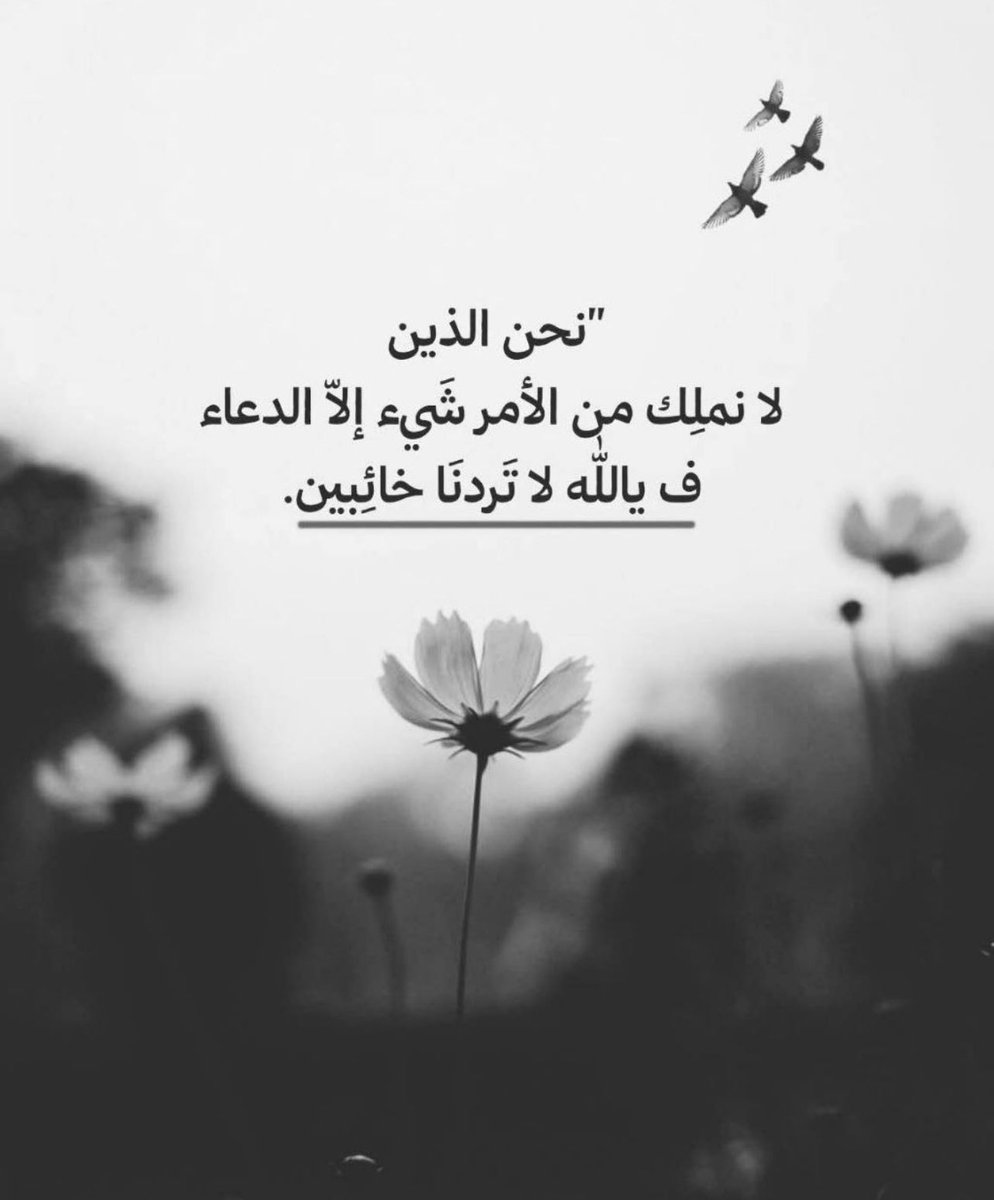 حنان الحربي tweet media