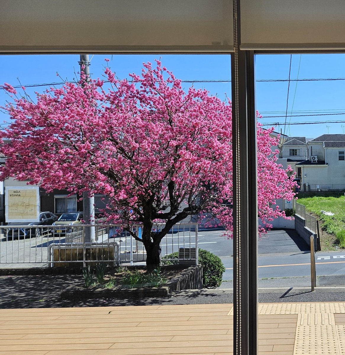 岡田ちか(柏市議会議員) ☆立憲民主党☆ tweet media