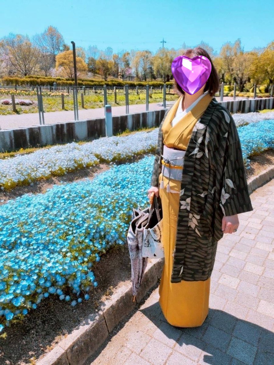 toramaru1967's tweet photo. 馬見丘丘陵公園
チューリップ　桜　ネモフィラを楽しんできました
青空もきれいでした https://t.co/C1MxVeJ9Hz