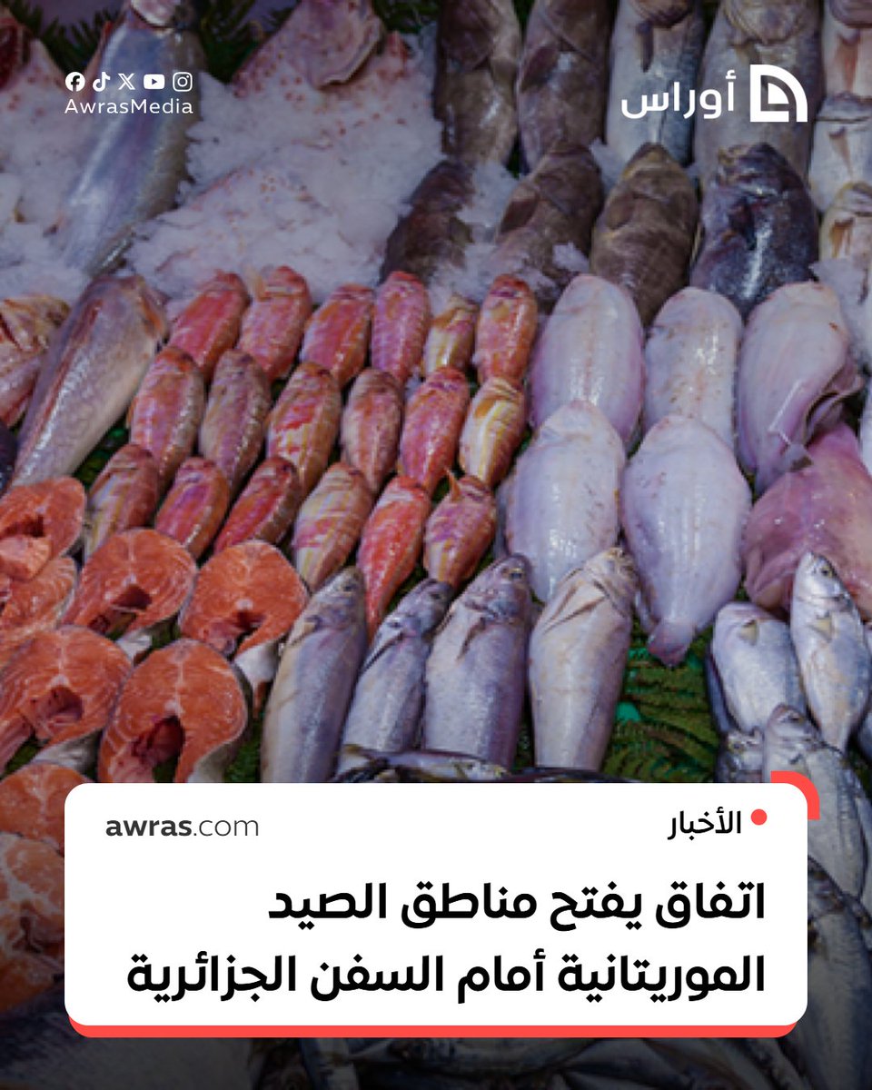 أوراس | Awras tweet media