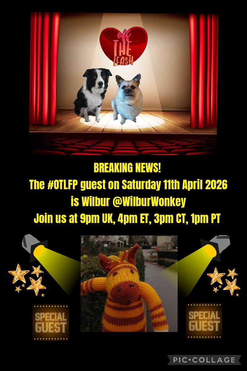 OffTheLeashFP's tweet image. 📌 Join us this Saturday (April 11) for OTLFP, a Twitter chat about #pets, by pets!

Guest: Wilbur @WilburWonkey

Hosts: @Pixie_Tooth &amp;amp; @MillieOTLFP

Starts 9pm UK, 4pm ET, 3pm CT, 2pm MT, 1pm PT

All are welcome. Just search &amp;amp; follow #OTLFP!