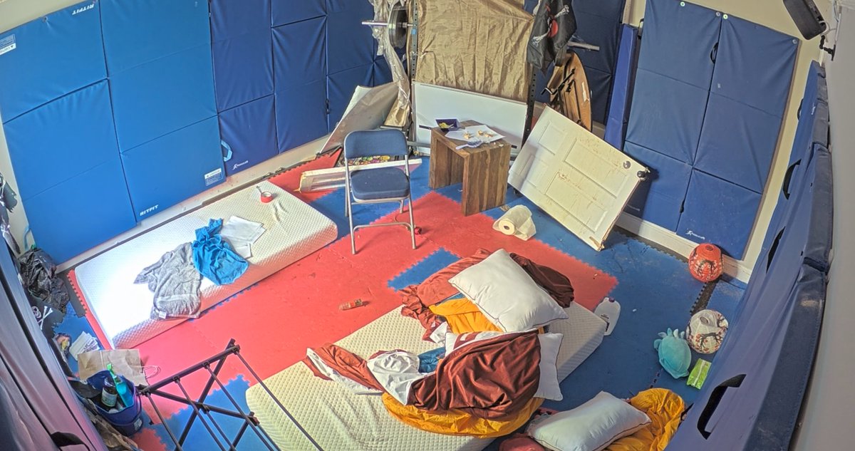 🇳🇴 🌲AllTheBoats🌲 🇳🇴 tweet media