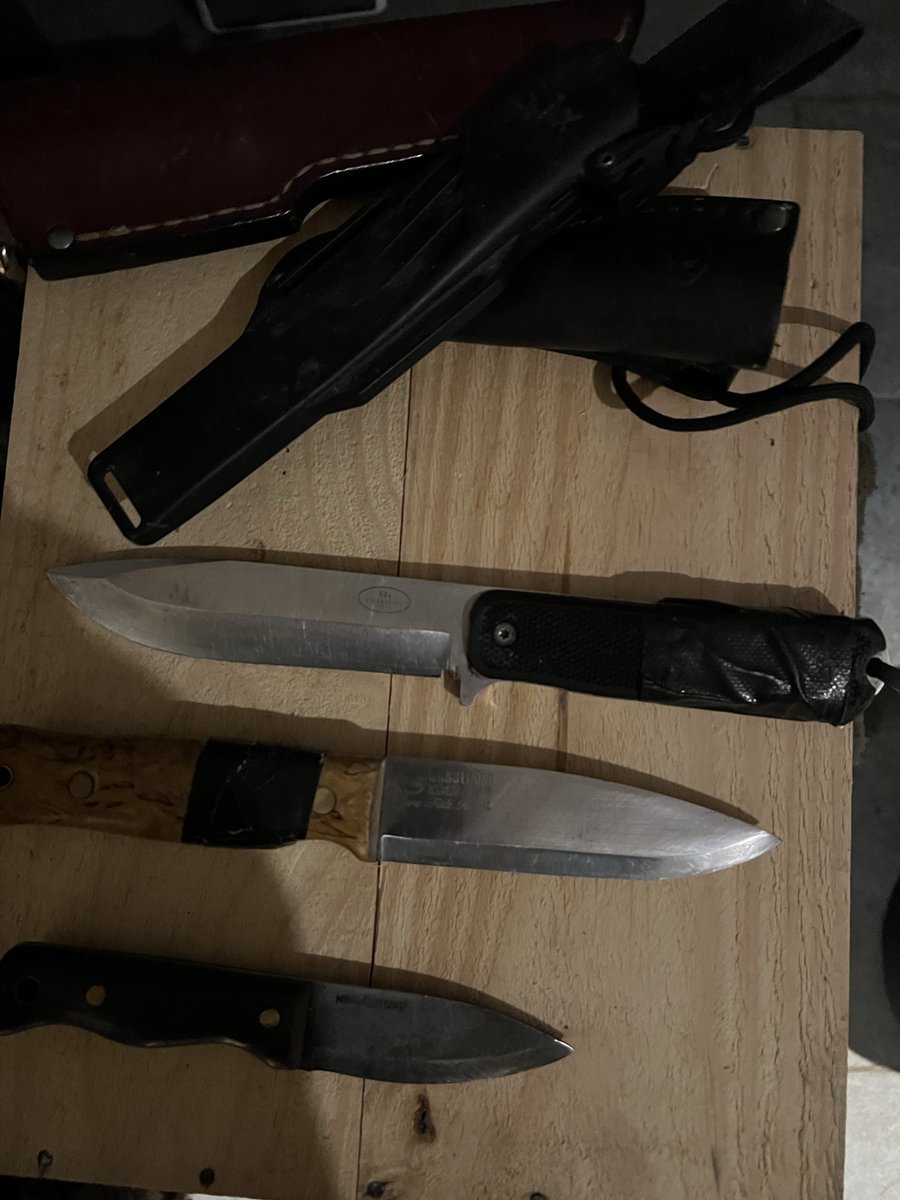 de Heyn Woeste C. tweet media