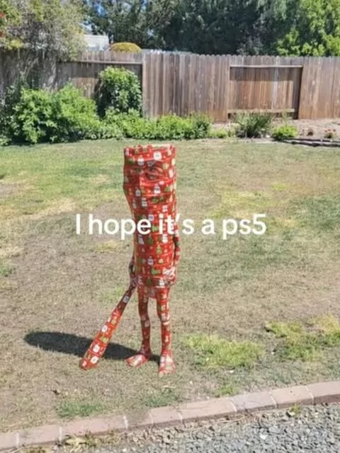 El Puto NiNderen (@ninderen) on Twitter photo 