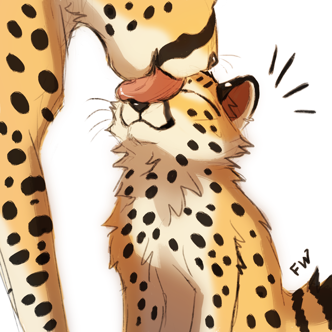 Flash W (open for commissions) tweet media