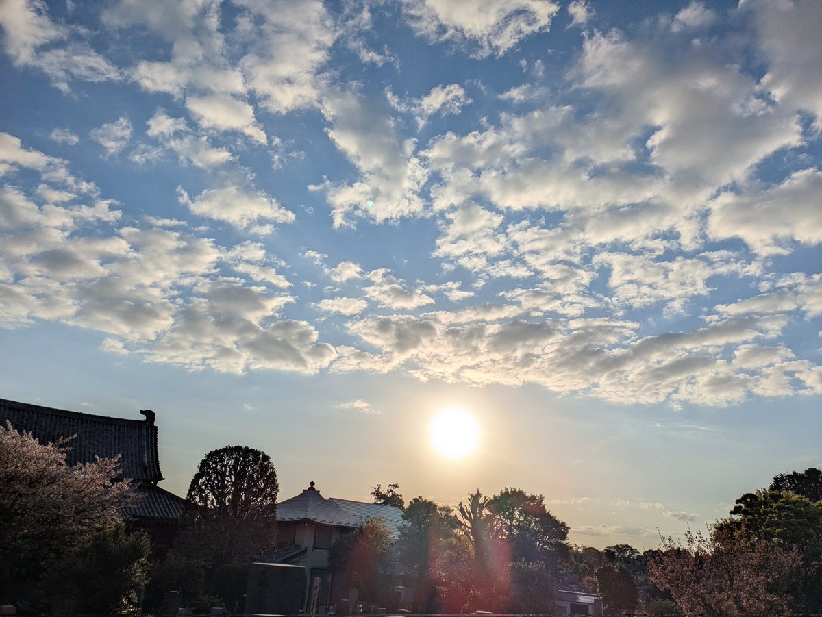 瑞雲ziun ELD55 tweet media