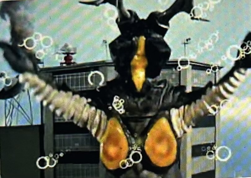 桜井浩子 tweet media