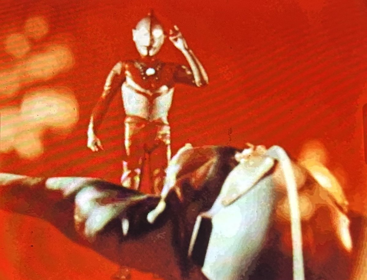 桜井浩子 tweet media