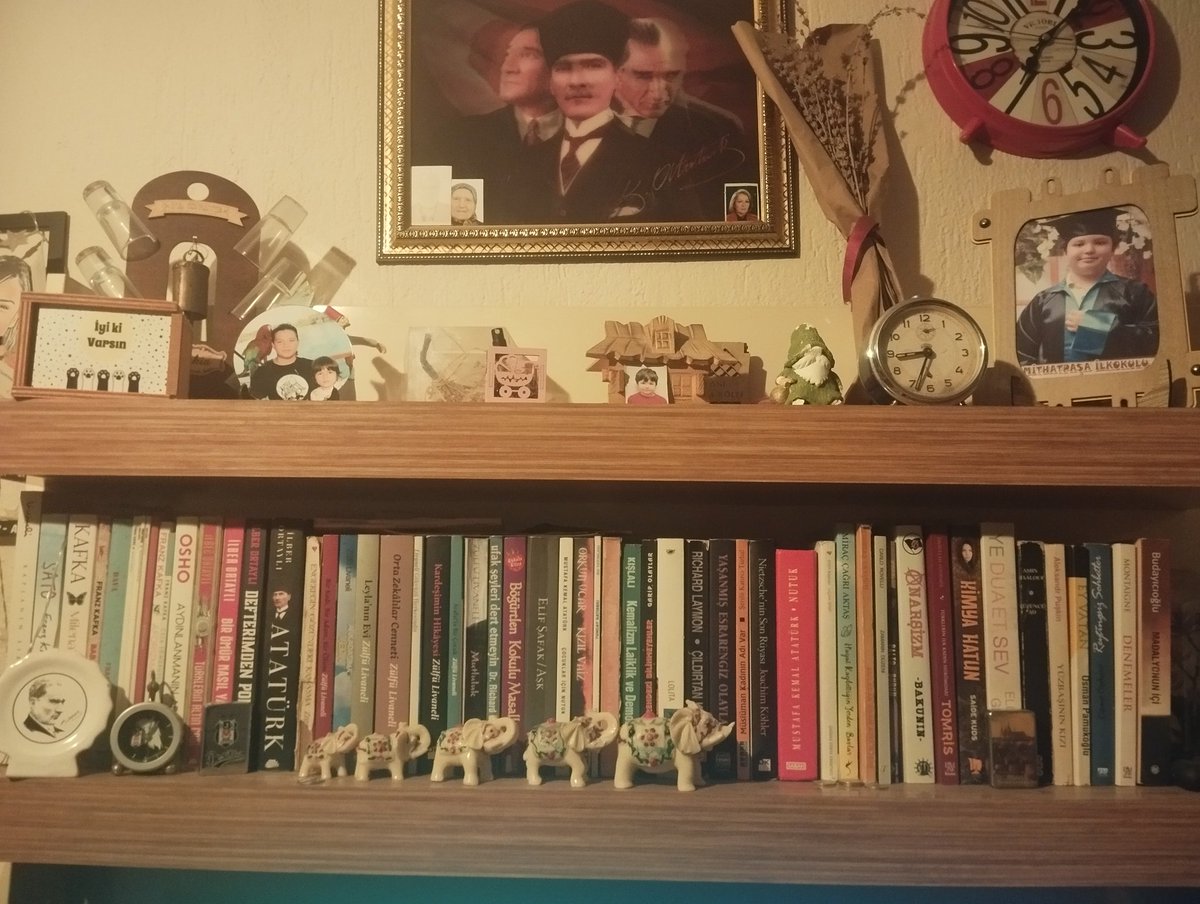 TEVFIK KⒶNTURK tweet media