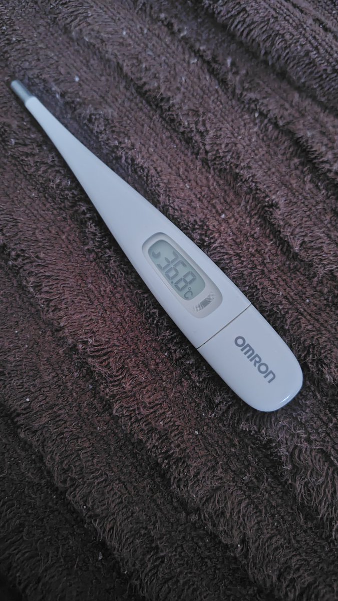 熱下がった
薬箱にカロナールあってよかった
疲れてたのかな