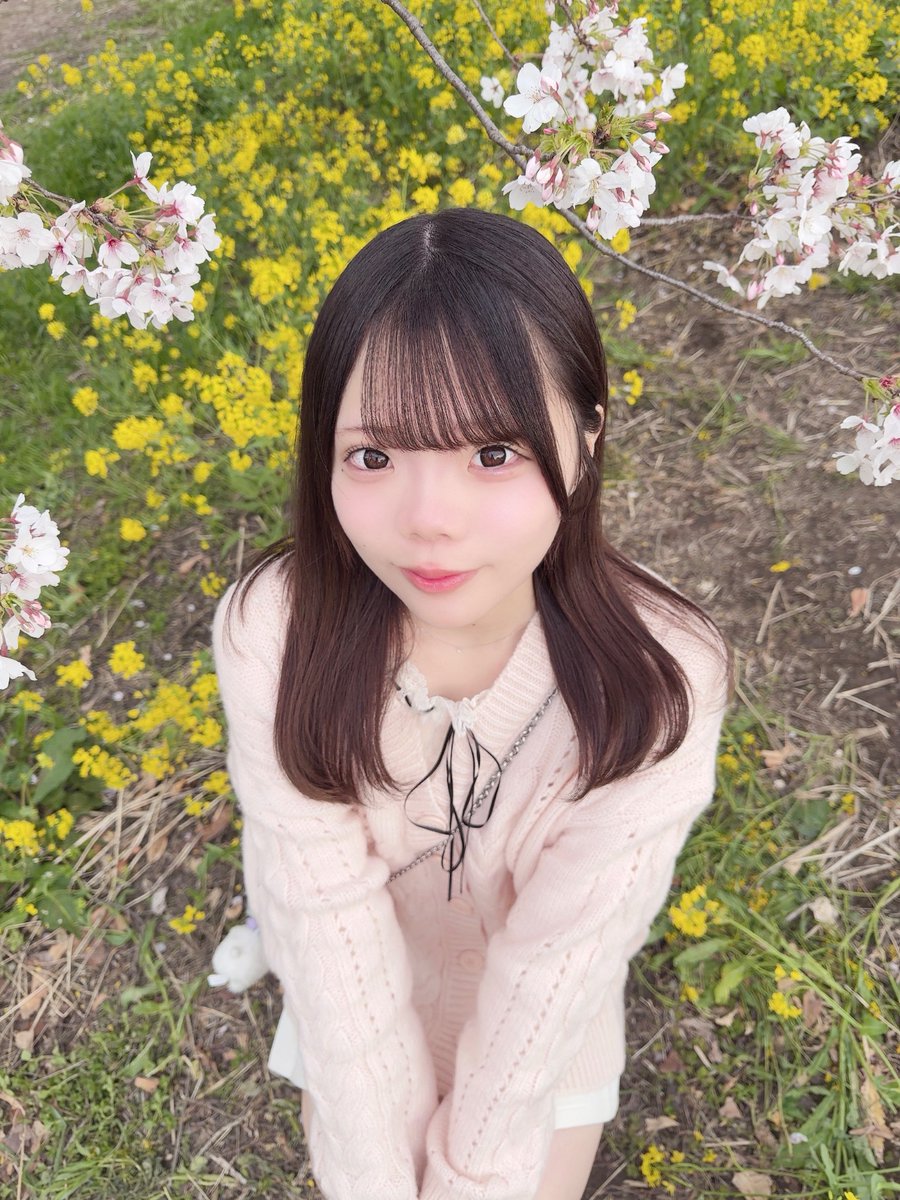 羽澄あずさ【ニコスピ】 tweet media