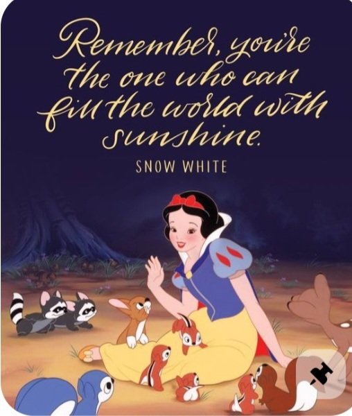 Aunti Dana Lynn13 Bey tweet media