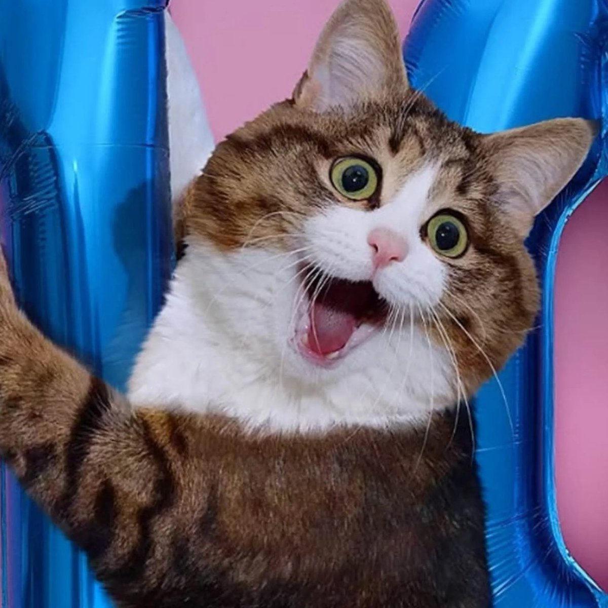 UpdateCharts tweet media