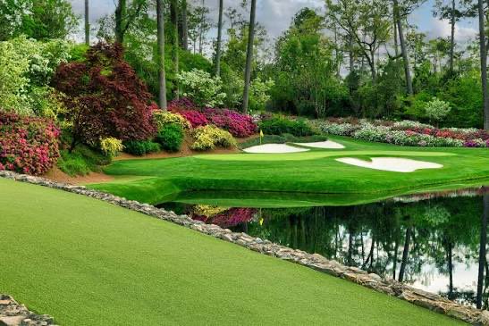 Miles Commodore tweet media