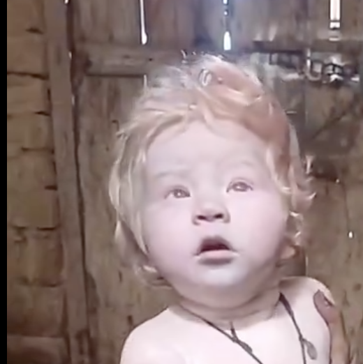 yajnadevam tweet media