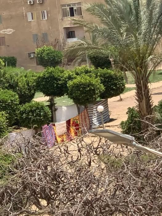 بوسي نور السعيد tweet media