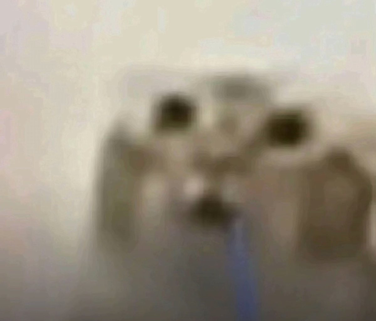 catuomi 🎀🧠 tweet media