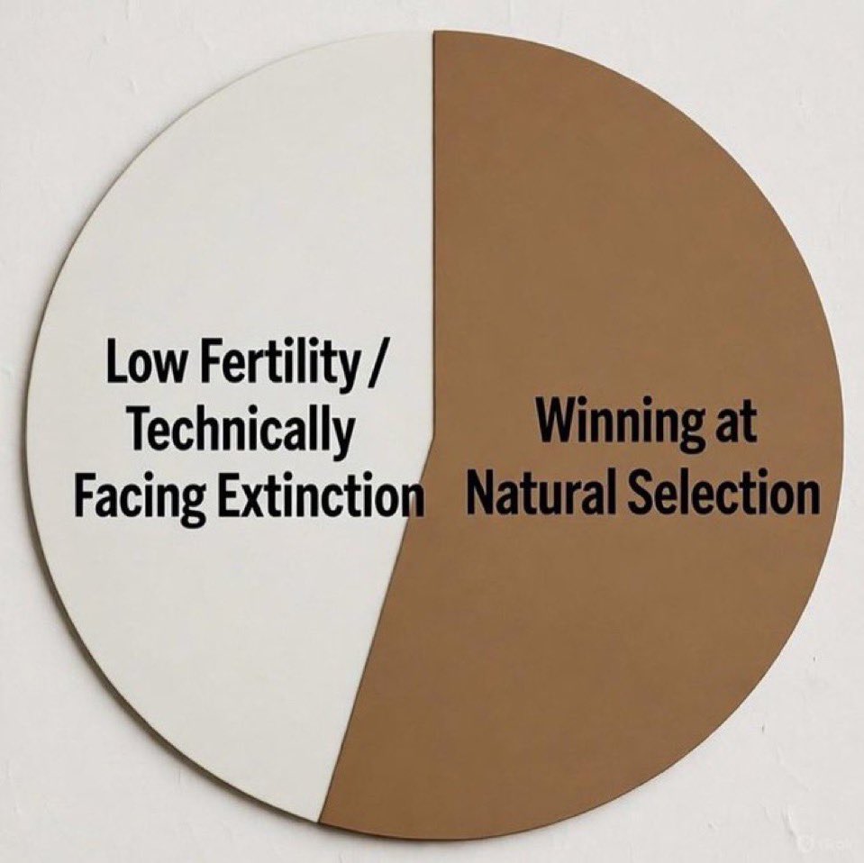 The Black Tucker Carlson Jr 🇺🇸 tweet media