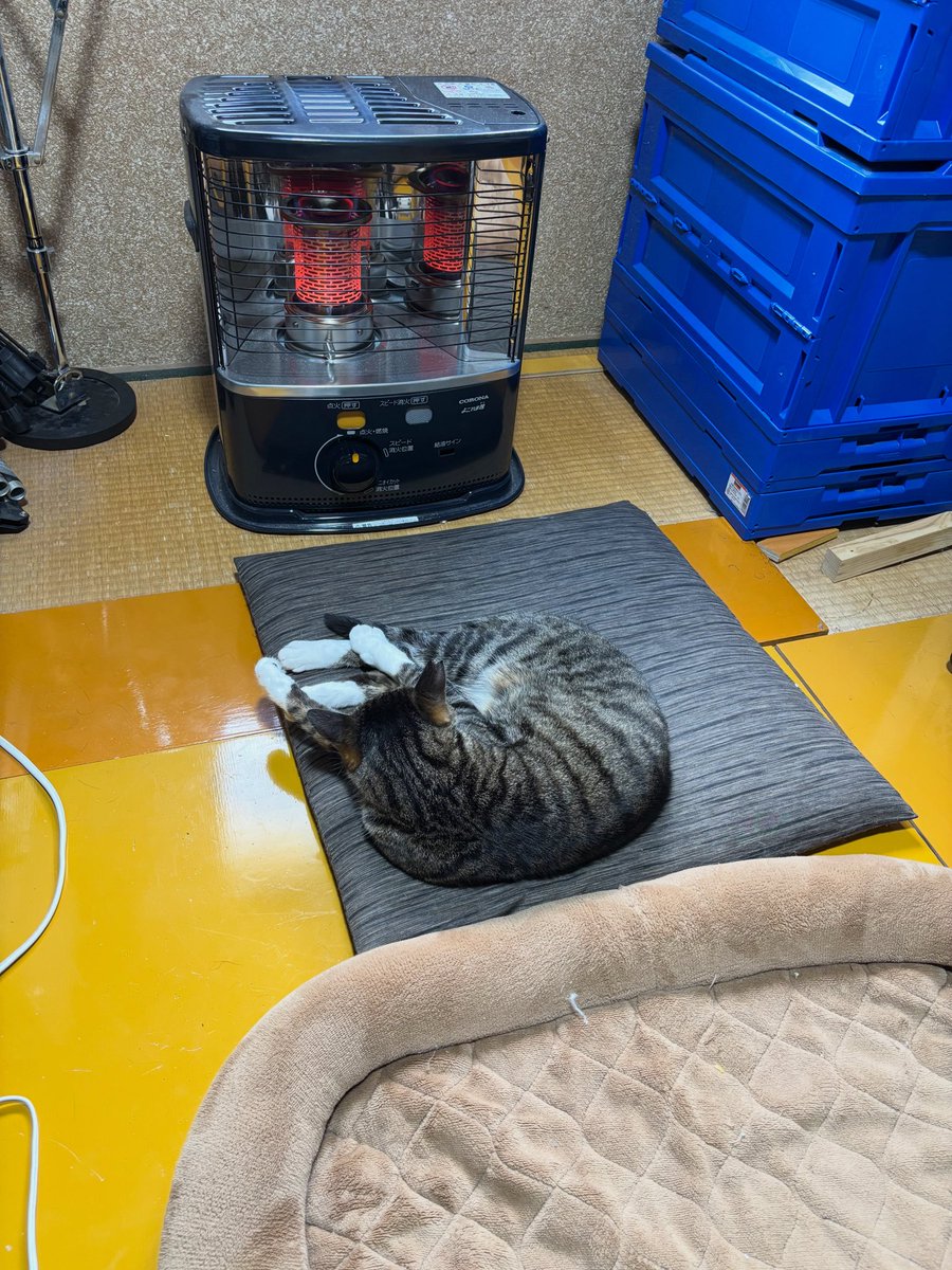 そうねん tweet media