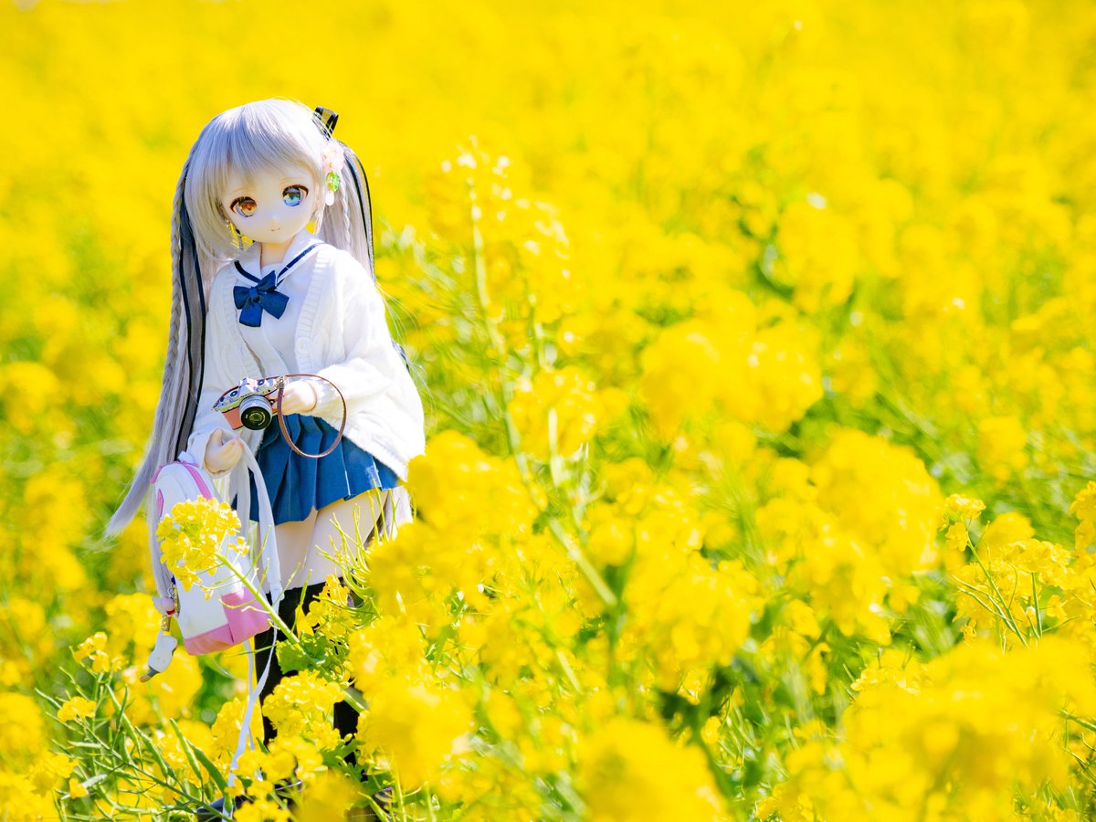 エルフィーネ🐈⸒⸒⸒ @アイドール大阪 J25-26 初出店💫💫 tweet media