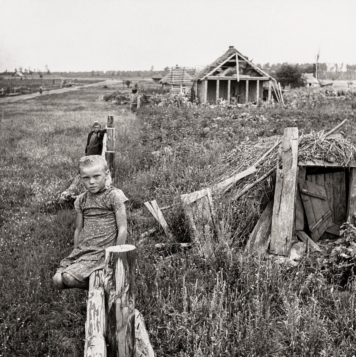 Patrizia Ciardelli tweet media