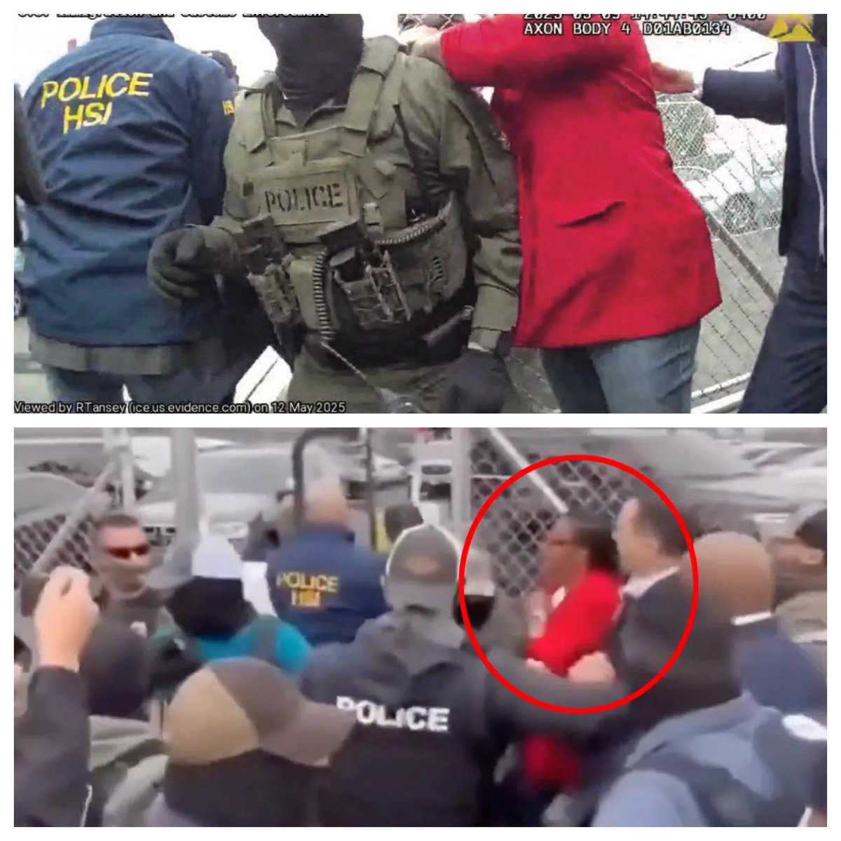 Alexis McAdams tweet media