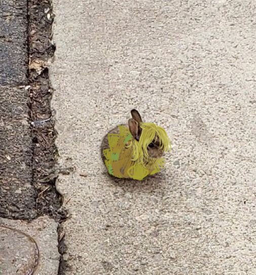 I'm making a collection of the latest drawings

Pararara

#yaelokre #meadowlark #cole