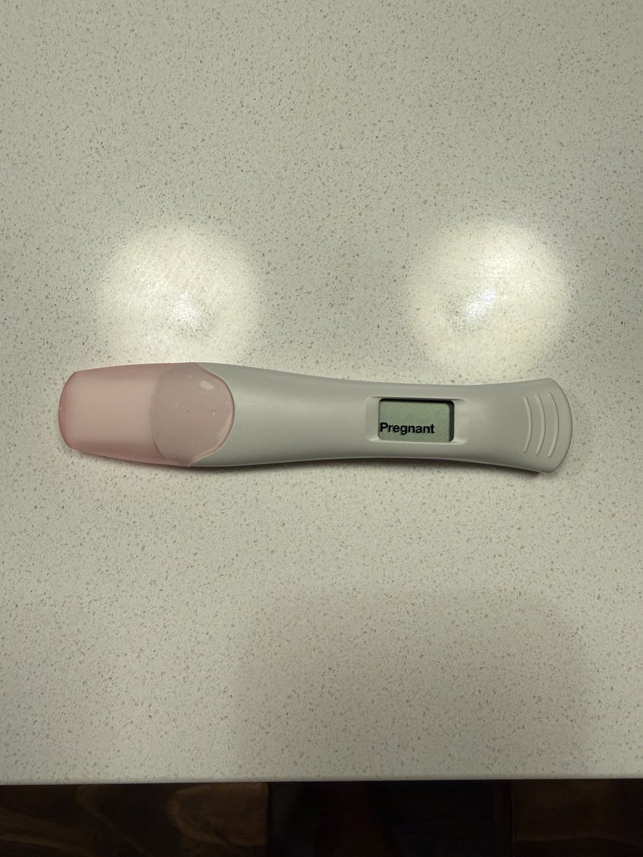 Mr. Contented tweet media