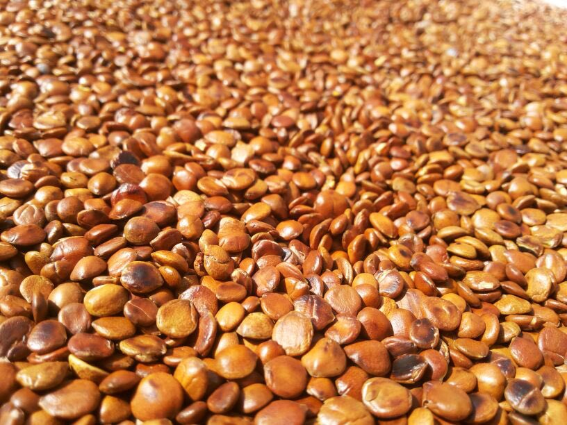 ترندات اليمن tweet media