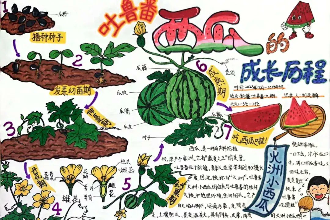 Queenie Wong tweet media