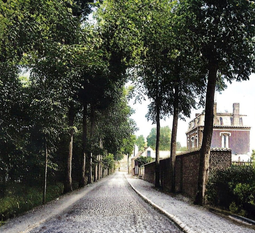 Geopizza Podcast tweet media