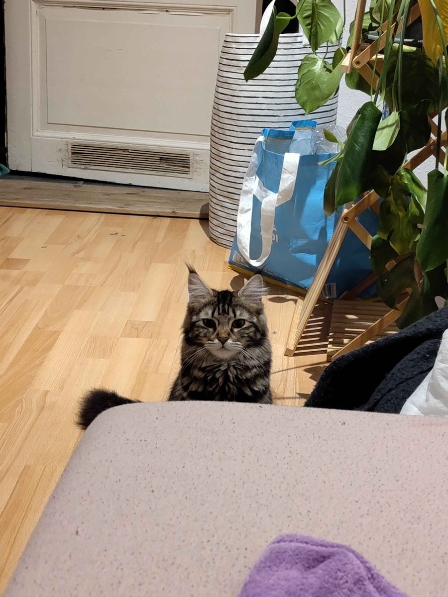 Allison Reynolds from the breakfast club tweet media