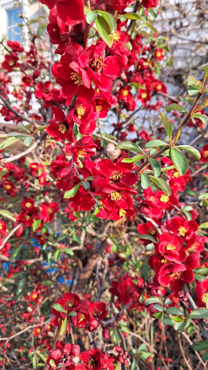 이근제 tweet media