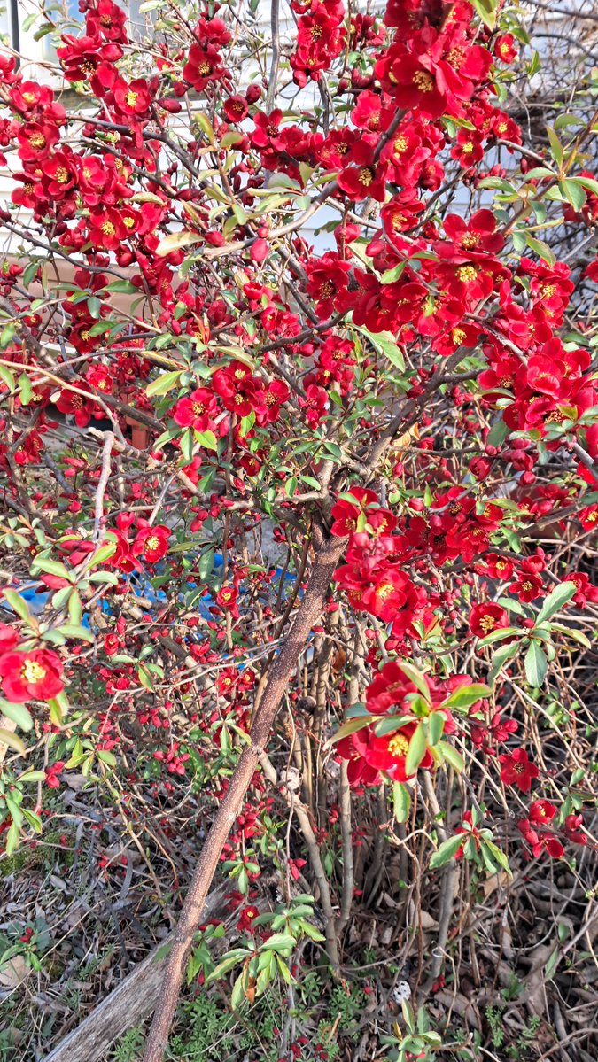 이근제 tweet media