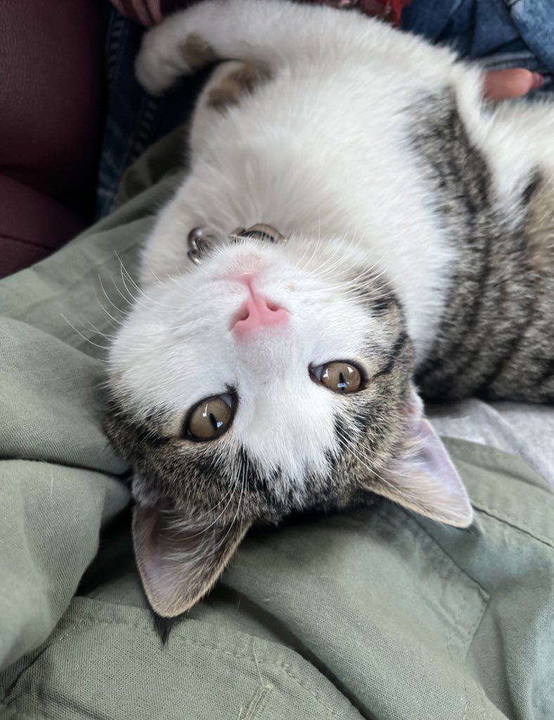 سوزن یه کاره tweet media