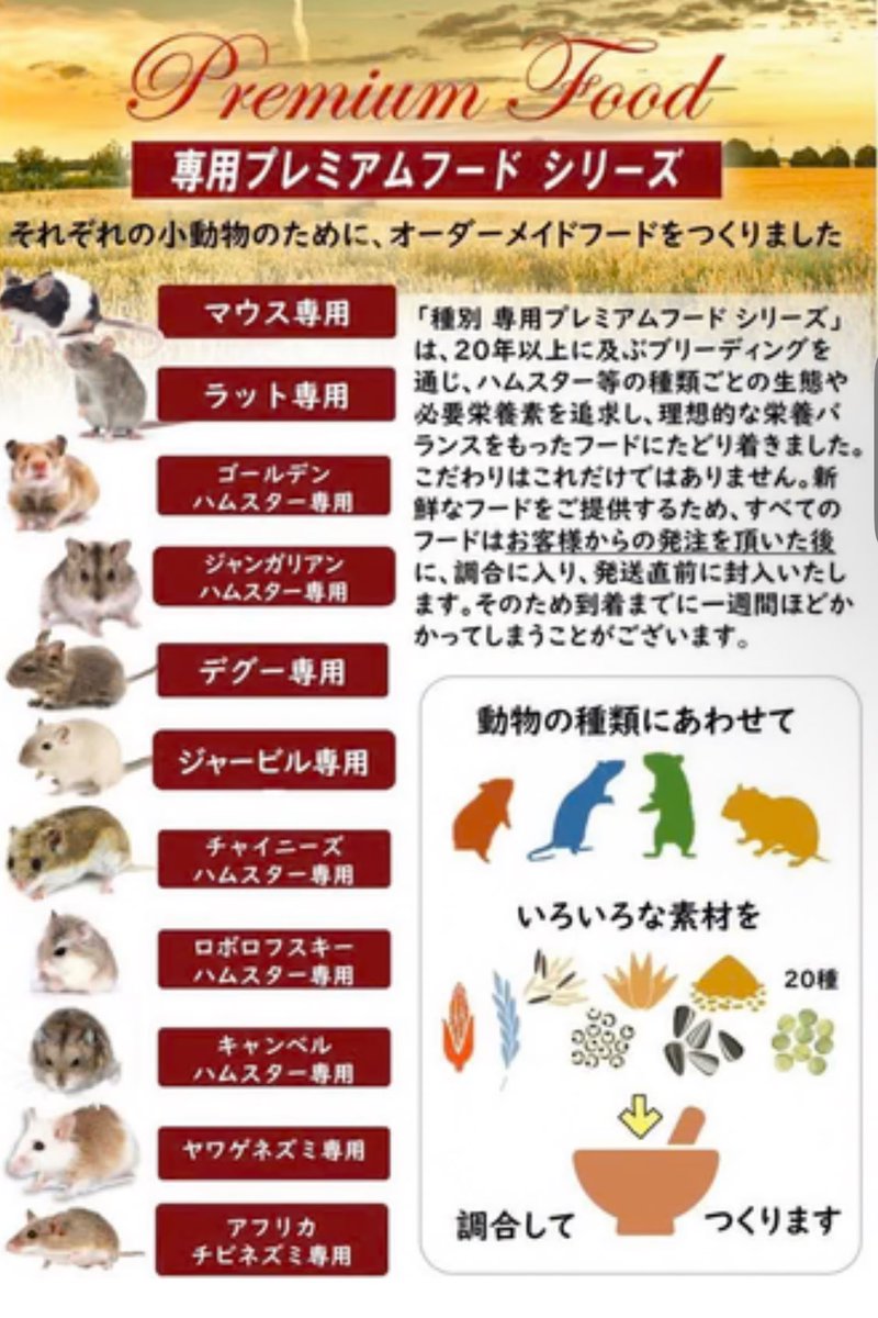 DDflowerDD's tweet photo. よくDMを頂くので…
我が家は→ @shippobank さんちのごはんです

栄養面や食べっぷりはもちろんなんだけど
ポップコーンを食べてる姿が悶絶するほど可愛い。（フードにポップコーンも入っています）
前回はお願いしてポップコーンのみも購入w無添加で赤ちゃんにも優しいおやつなのでオススメです🐹🧡
季節によっても配合を変えてくれるフードに愛を感じます🙌🧡
