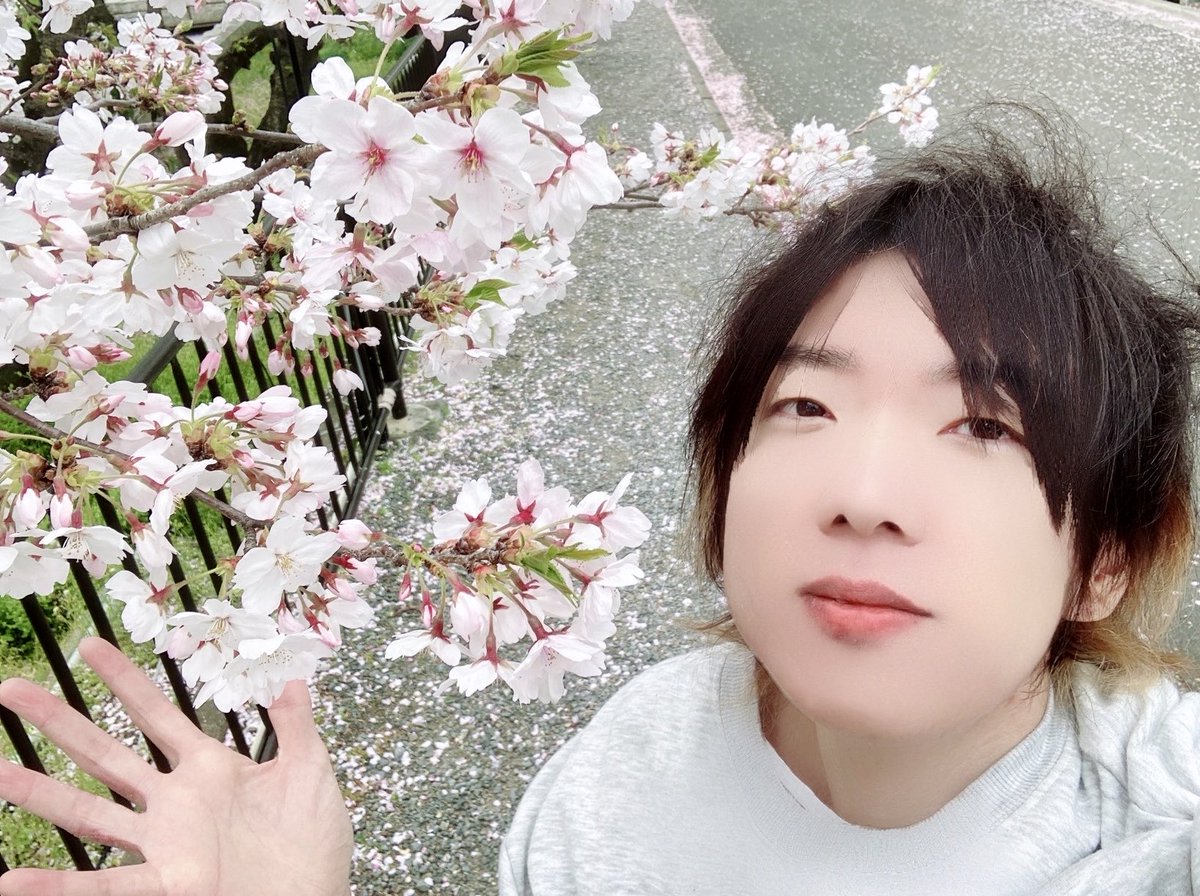 Mog🎹🎸ଘ♡ଓ*:ﾟ tweet media